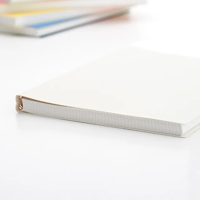 書きたいことが全部書ききれる100枚入り